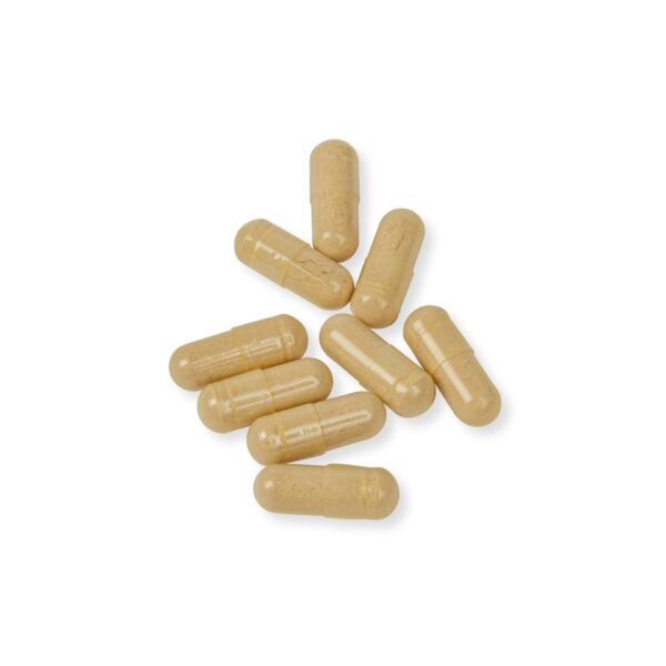 Stay Fit Fit Multivitamins for Men Supplement (60 Capsules) - Image 6